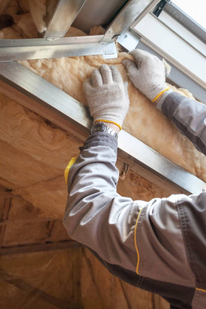 Best Geographic-Specific Insulation Services in San Felipe Pueblo, NM