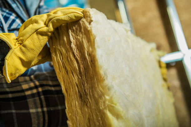 Best Insulation Maintenance and Repair in San Felipe Pueblo, NM