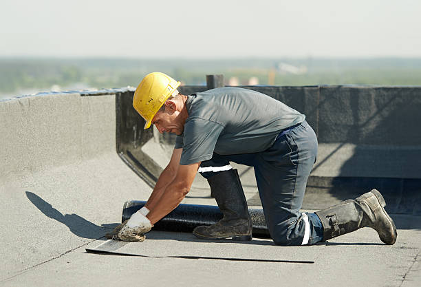 Best Specialized Insulation Services in San Felipe Pueblo, NM